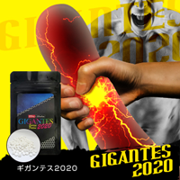 【欠品中】GIGANTES2020