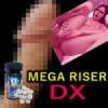 Ｍega Ｒiser ＤＸ（メガライザーＤＸ）