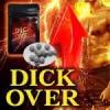 【新商品】DICK OVER （ディックオーバー）