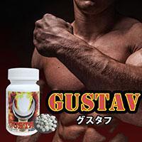 業界騒然!!医療界注視のサプリメントが登場！グスタフ（Gustav）