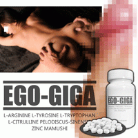 【待ちに待った再入荷!!】EGO-GIGA（エゴギガ）