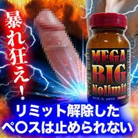 ※39個限定・賞味期限2月末※【80%OFF】MEGA BIG No Limit(メガビッグ ノーリミット)