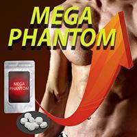 MEGAPHANTOM（メガファントム)