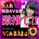 バイアグレッド