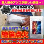 【新商品】絶倫点火 （ゼツリンテンカ）
