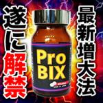 ※59個限定・賞味期限2月末※【70%OFF】プロビックス