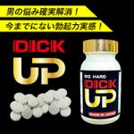 【新商品】DICK UP（ディックアップ）