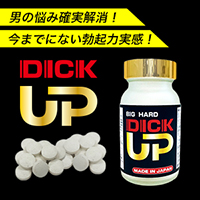【新商品】DICK UP（ディックアップ）