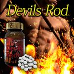 ビッグハード Devils Rod（デビルズロッド）