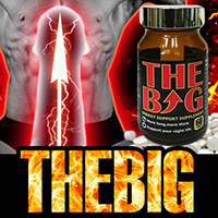 【1BUY1対象商品】THEBIG（ザ ビッグ）