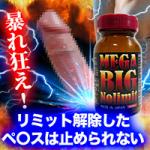 ※39個限定・賞味期限2月末※【80%OFF】MEGA BIG No Limit(メガビッグ ノーリミット)