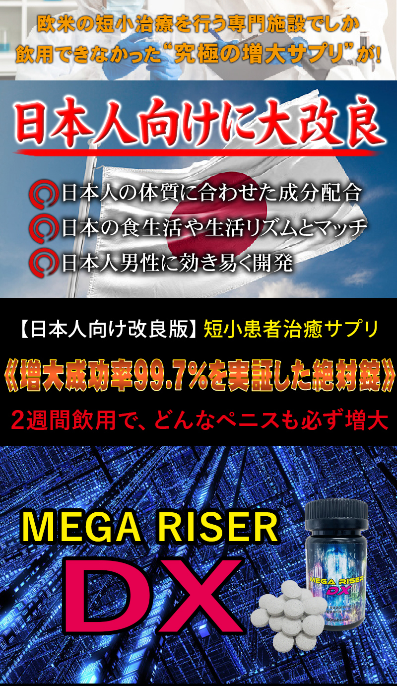 MEGA RISER DX（メガライザーDX）