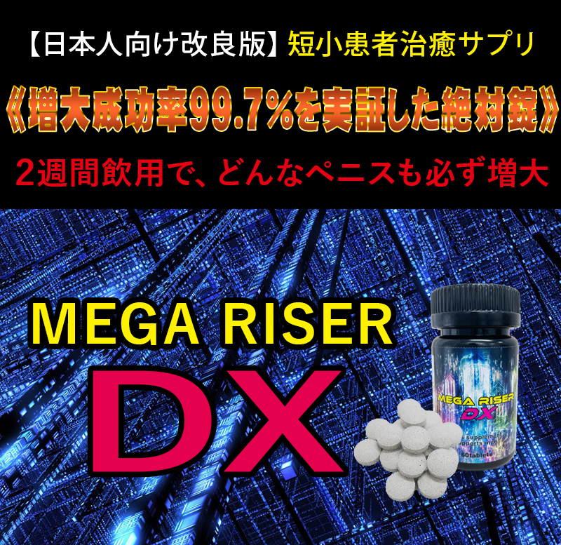 MEGA RISER DX（メガライザーDX）