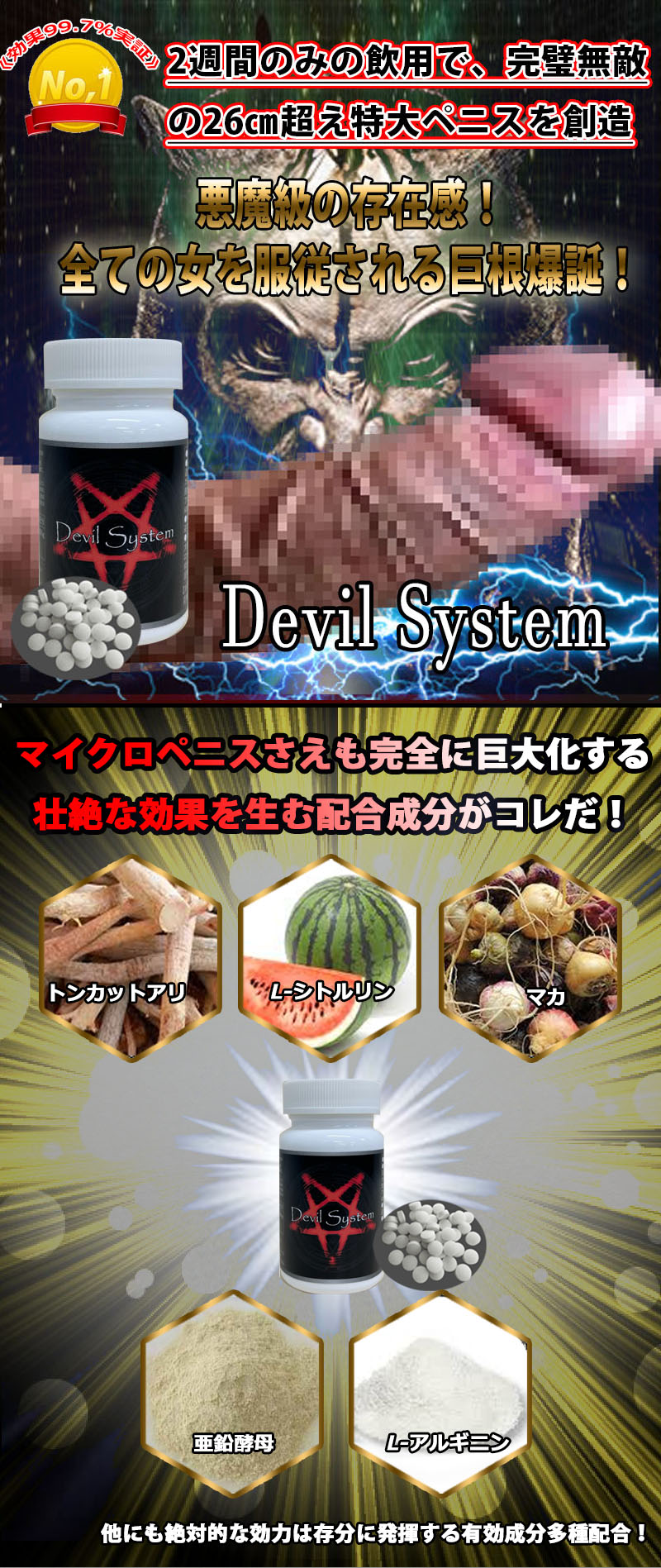 Devil System（デビルシステム）