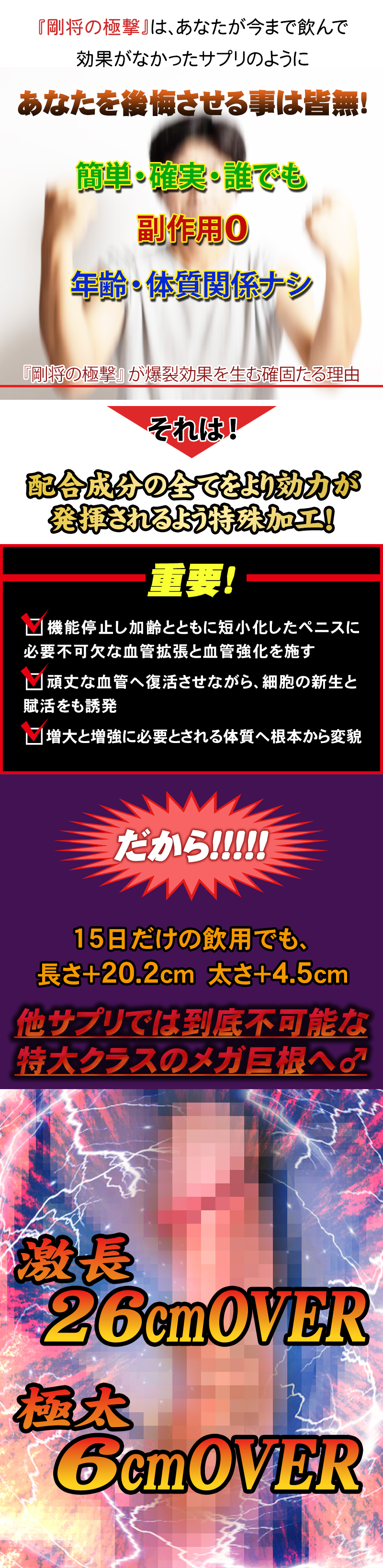 剛将の極撃（ごうしょうのきょくげき）