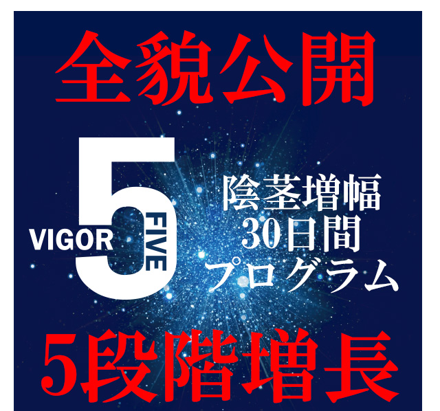 ヴィガーファイブ(VIGOR5)