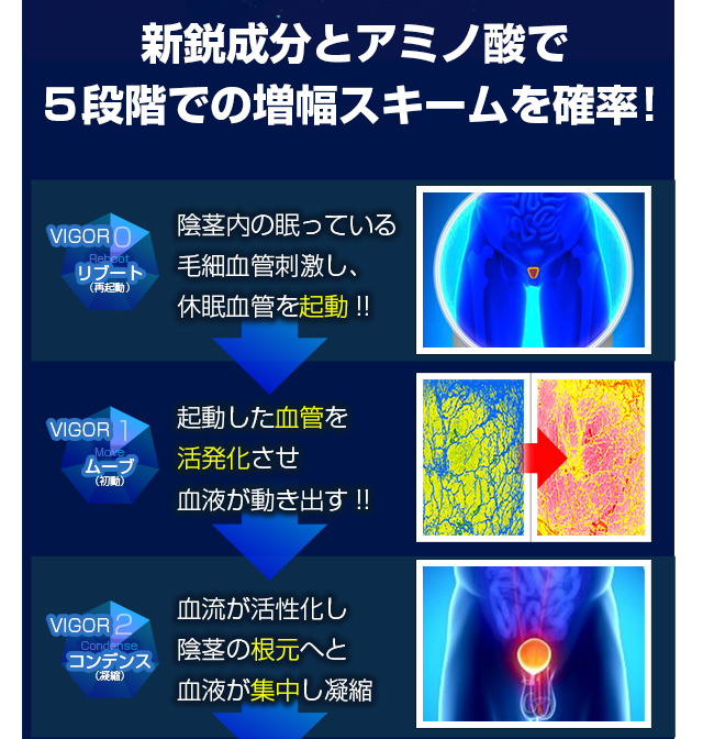 ヴィガーファイブ(VIGOR5)