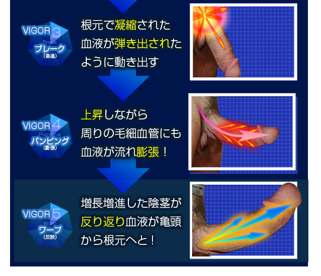 ヴィガーファイブ(VIGOR5)