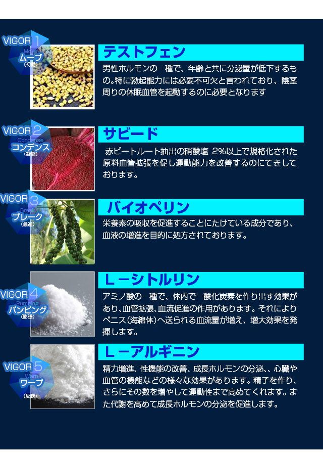 ヴィガーファイブ(VIGOR5)