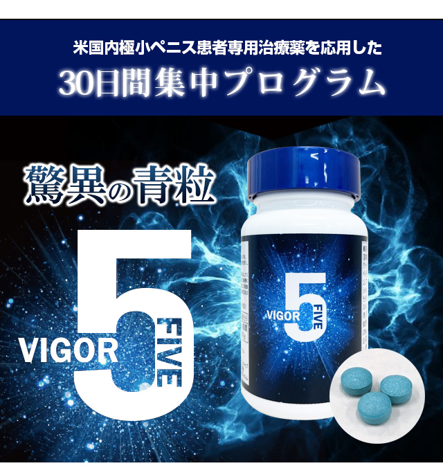 ヴィガーファイブ(VIGOR5)