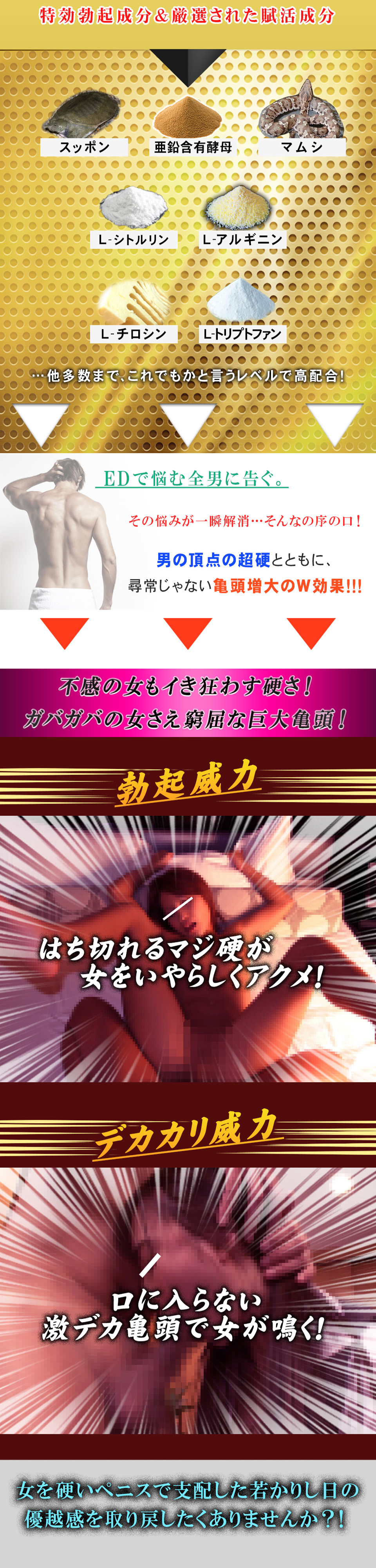 ベルゼルクス Verzeruks