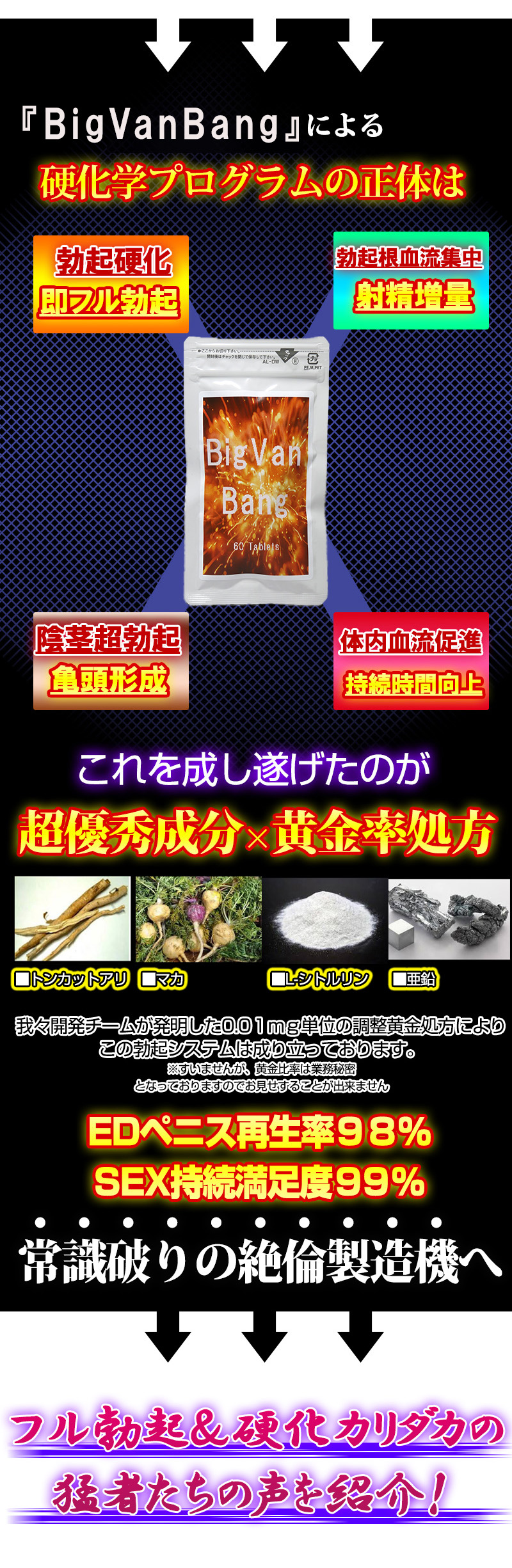 ビッグヴァンバン　(BigVanBang)