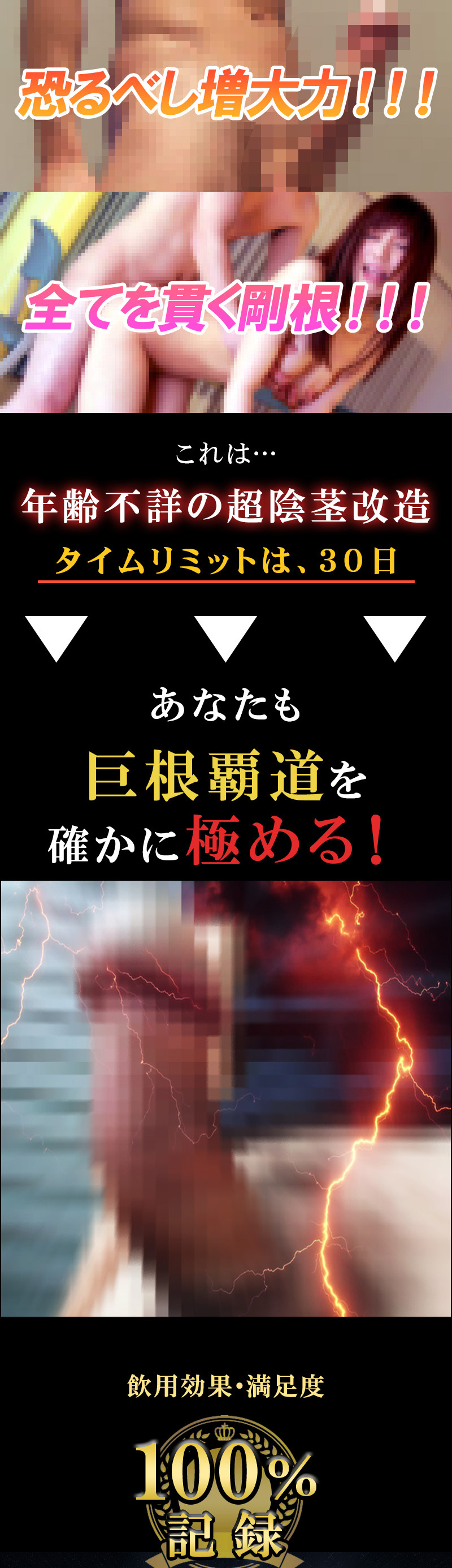 無敵覇王丸（むてきはおうがん）