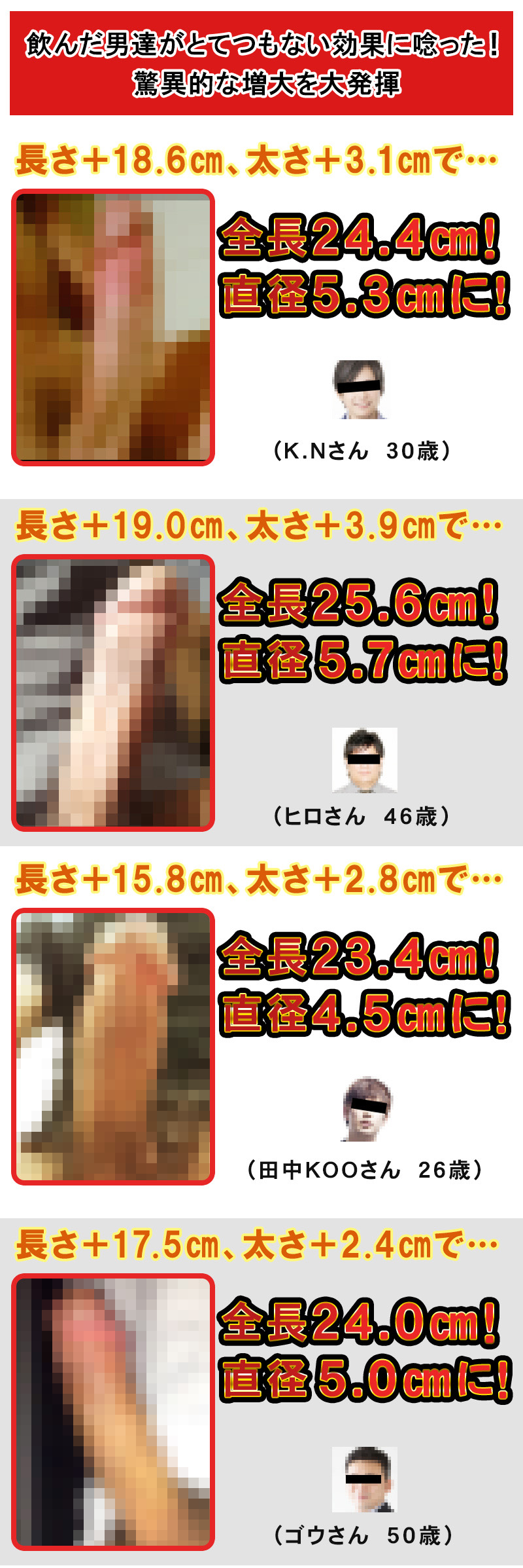 無敵覇王丸（むてきはおうがん）