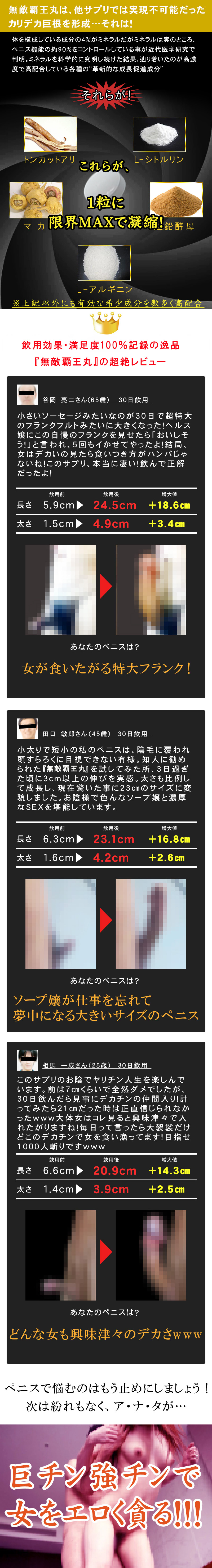 無敵覇王丸（むてきはおうがん）