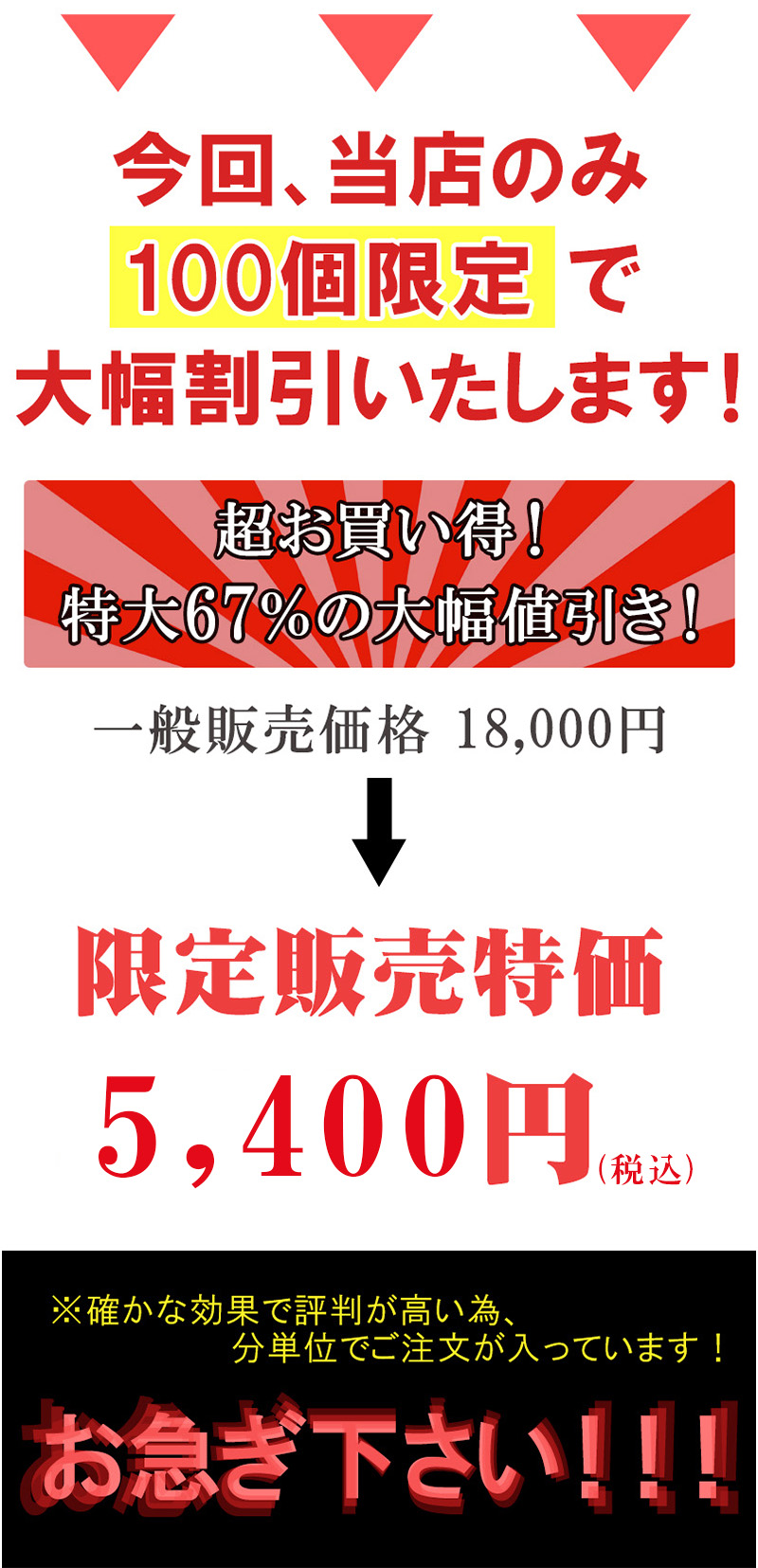 無敵覇王丸（むてきはおうがん）