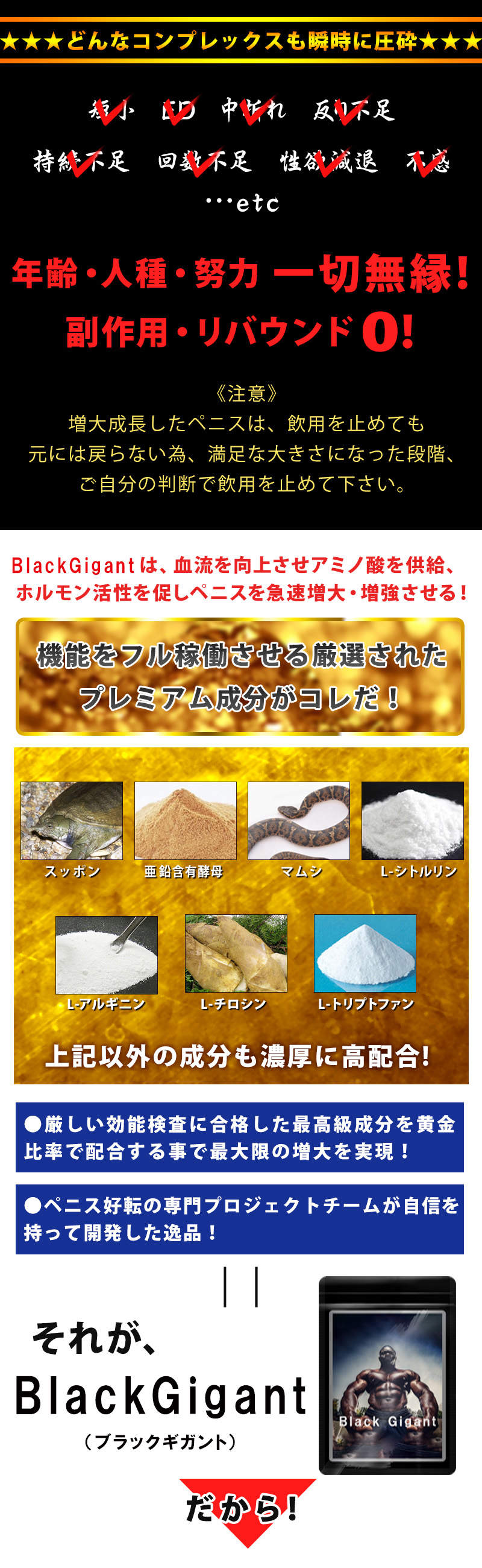 BlackGigant（ブラックギガント）