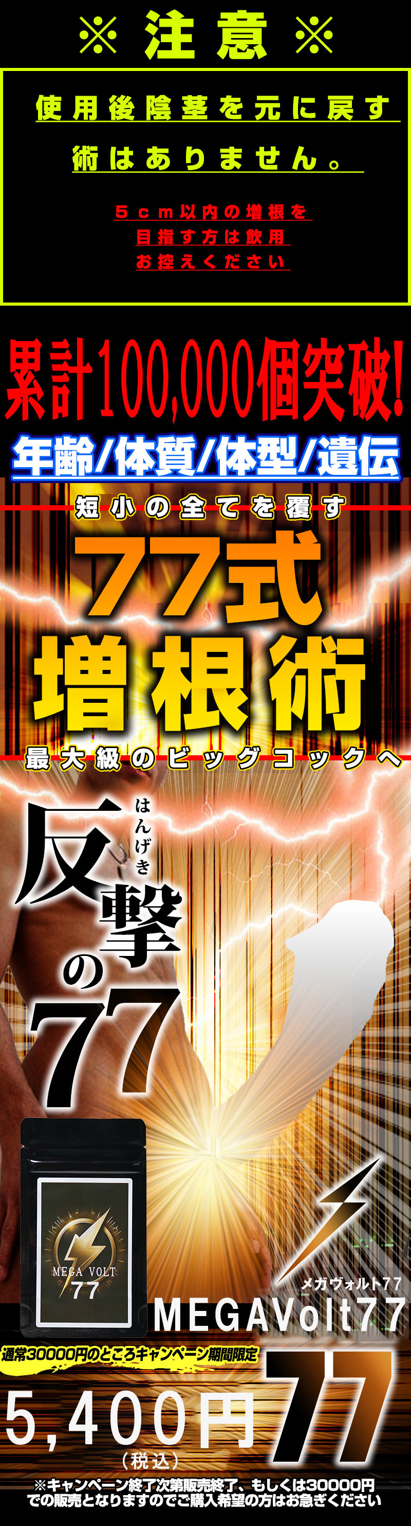 MEGAVolt77(メガヴォルト77)